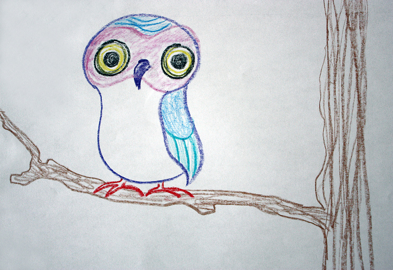 Barn Owl - Owl Drawing - Kids T-Shirt | TeePublic
